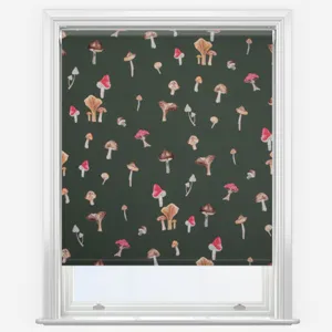 Sonova Studio Mushroom Forage Green Roller Blind