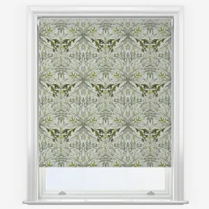 Sonova Studio Royal Reef Algae Green Roller Blind