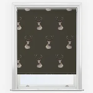 Sonova Studio Fergus Bark Roller Blind