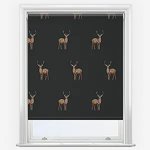 Sonova Studio Argyll Charcoal Roller Blind