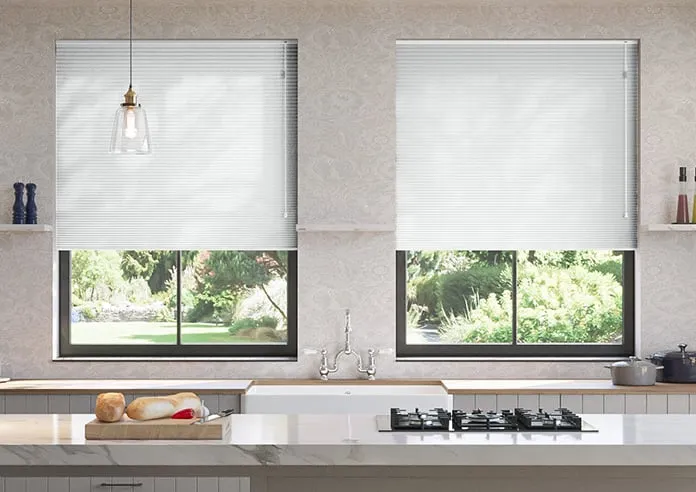 Delphi Clarity - Pleated Blind