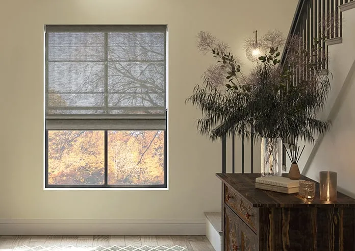 Tucson Voile Zinc - Roman Blind