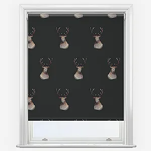 Sonova Studio Fergus Charcoal Roller Blind