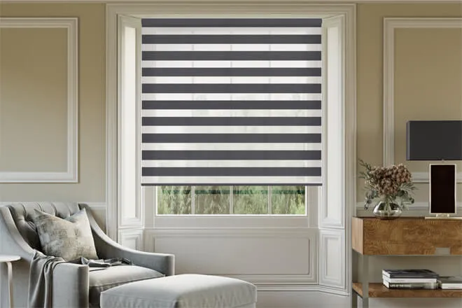 Cannes Black Day And Night Blind With Extra Fine Voile