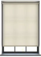 Burst Winterbloom - Electric Roller Blind