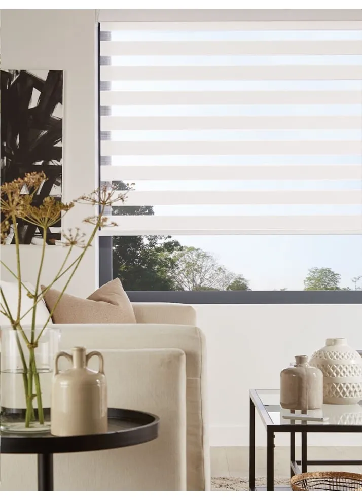 Edition Linen Vision Day And Night Blind