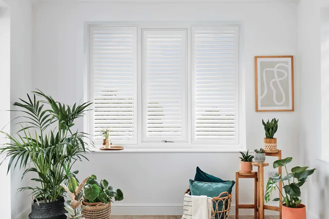 Echo True White Shutter Blind
