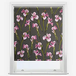 Ted Baker Wild Iris Pink Charcoal Roller Blind