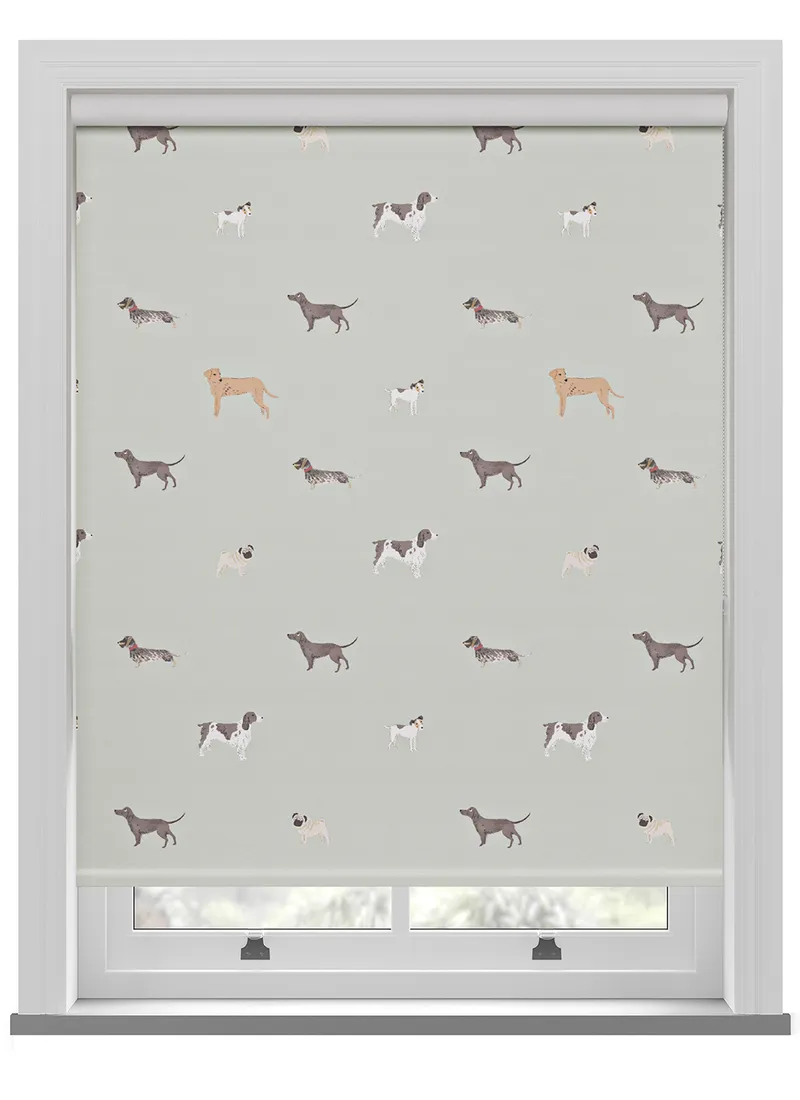 Sophie Allport Woof Sage Roller Blind