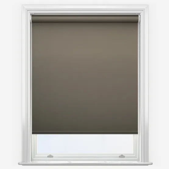 Spectrum Blackout Mole Roller Blind