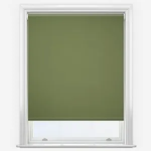 Pop Blackout Fern Roller Blind