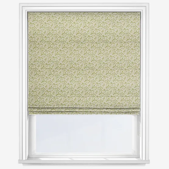 Syon Fennel Roman Blind