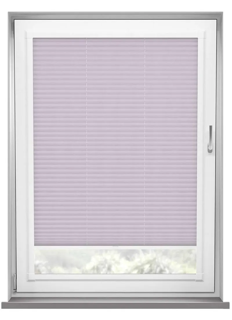 Evissa Lilac