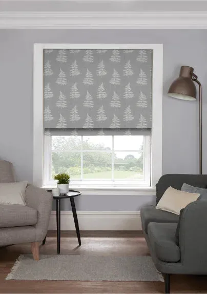 Eb Bracken Silver Roman Blind