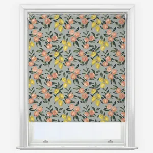 Sonova Studio Capri Sage Roller Blind