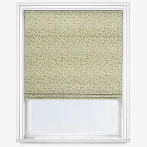 Syon Fennel Roman Blind