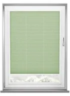 Mirabella Mint