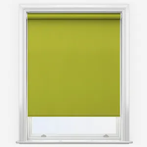 Aqualuxe Lime Roller Blind