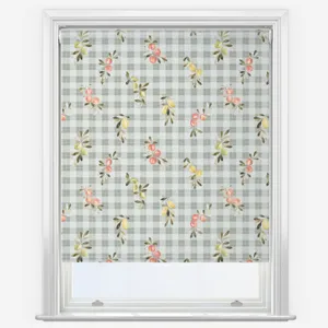 Sonova Studio Sorrento Sage Roller Blind