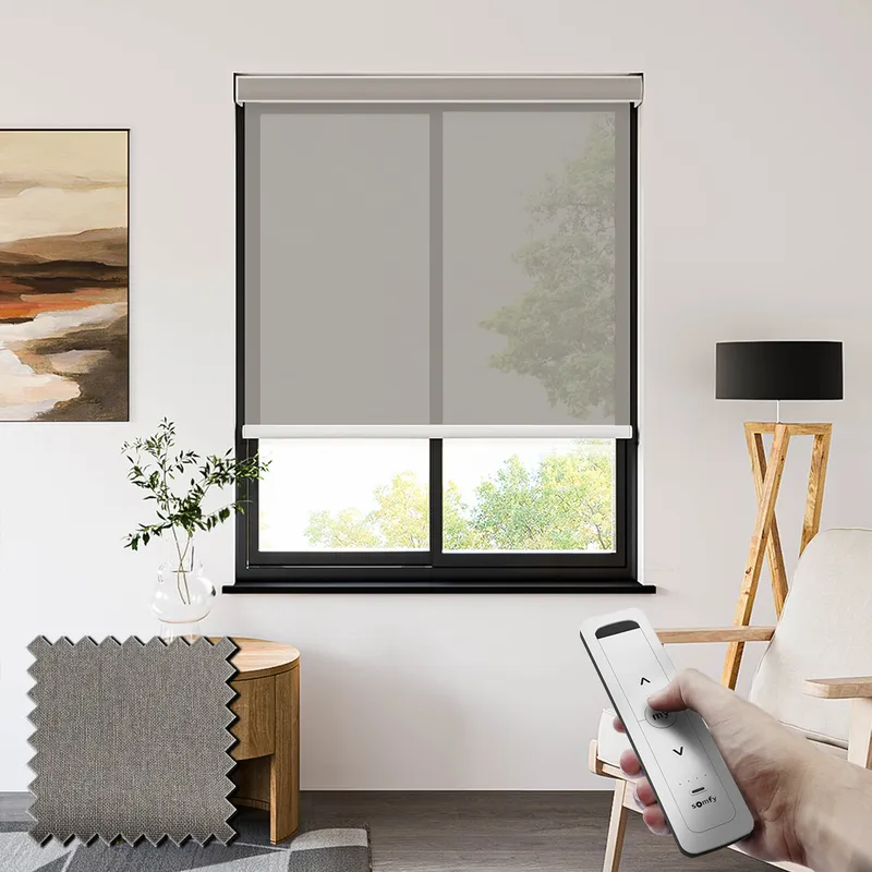 Lucid Storm Somfy Battery Powered Sheer Roller Shades