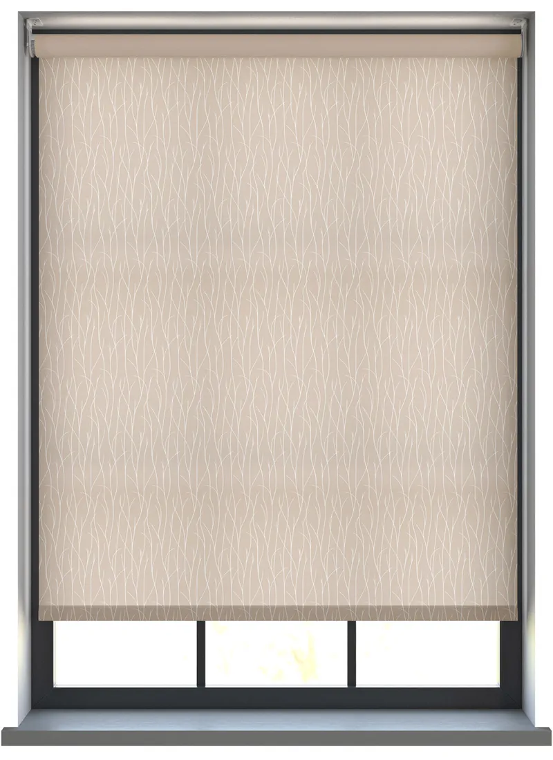 Crown Light Silver Roller Blind