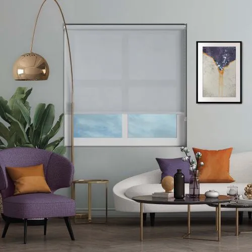 Asteroid Silver Roller Blind
