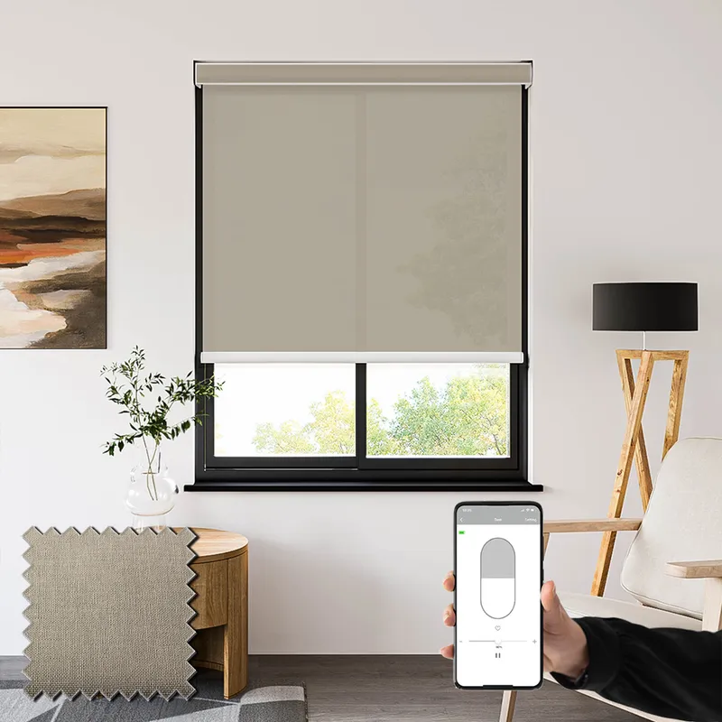 Seclusion Oyster Battery Powered Electric Roller Shades