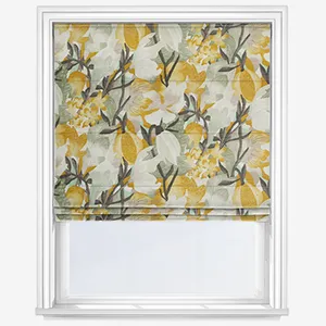 Lucy Gold Roman Blind