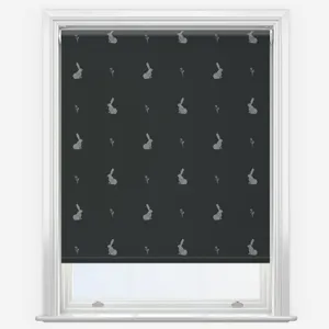 Sonova Studio Hare Charcoal Roller Blind