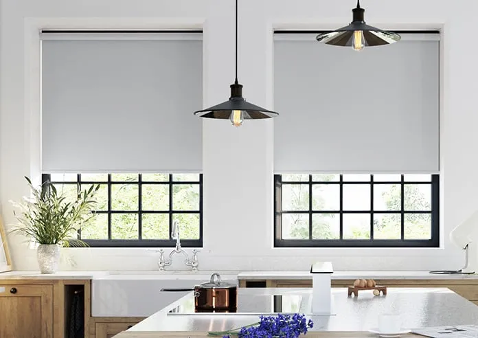 Trinity (Blackout) Silver - Roller Blind