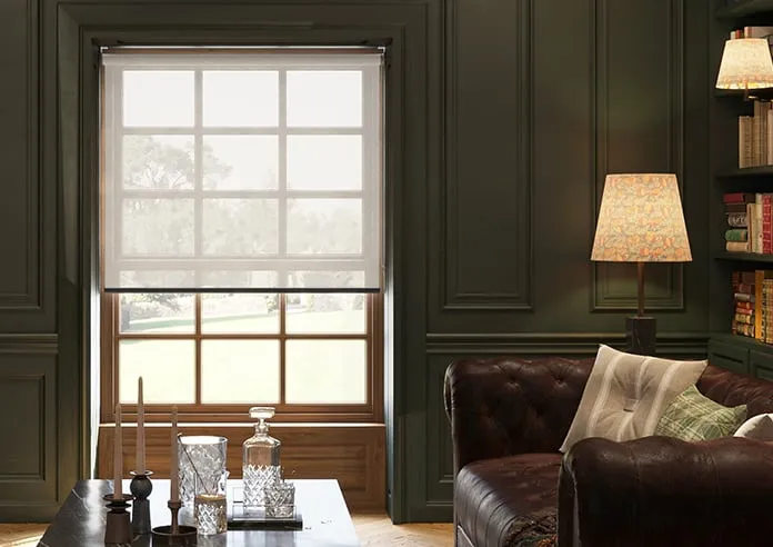 Screenview (Fr) Sandstone - Roller Blind