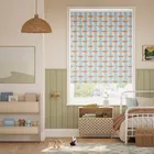 Mr Fox Stripe Sky Roller Blind