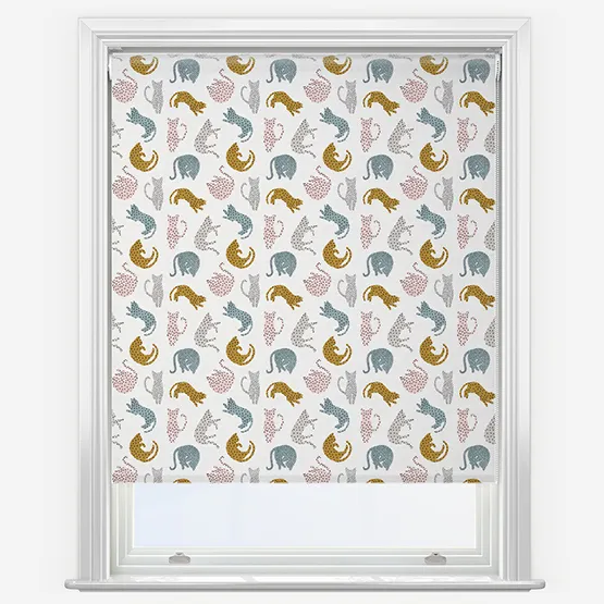 Sonova Studio Pretzel Blush And Mint Roller Blind