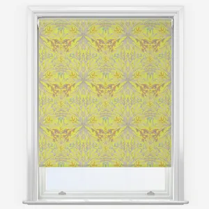 Sonova Studio Royal Reef Multi Chartreuse Roller Blind