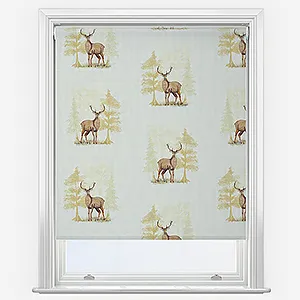 Sonova Studio Cairngorms Ecru Roller Blind