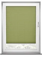 Scandi Olive