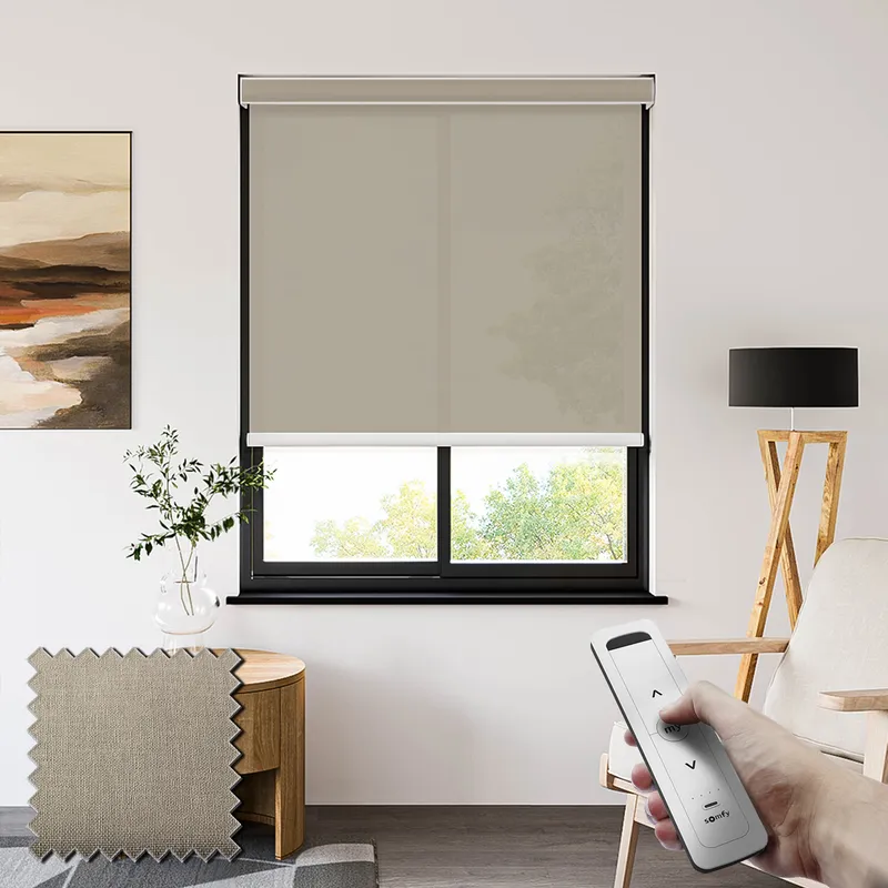 Seclusion Oyster Somfy Battery Powered Electric Roller Shades