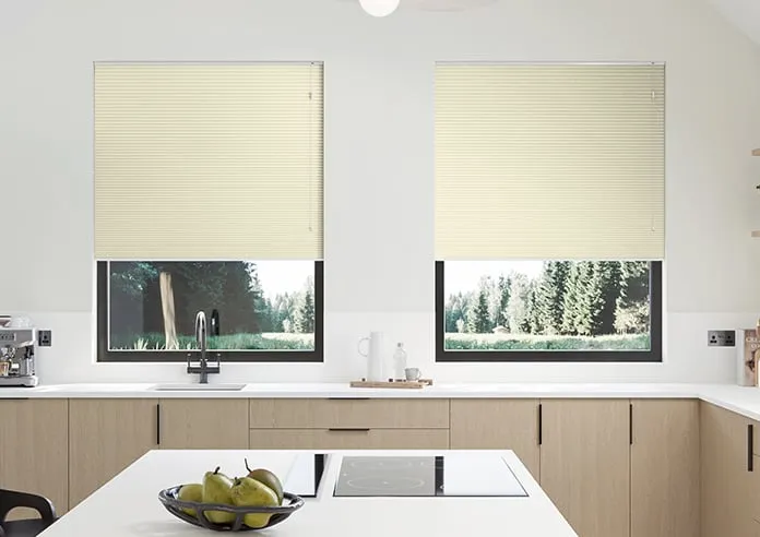 Stellar Vanilla - Pleated Blind