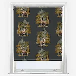 Sonova Studio Cairngorms Charcoal Roller Blind