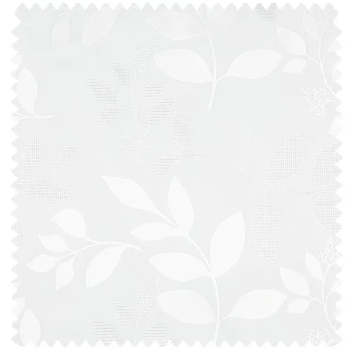 Molina
