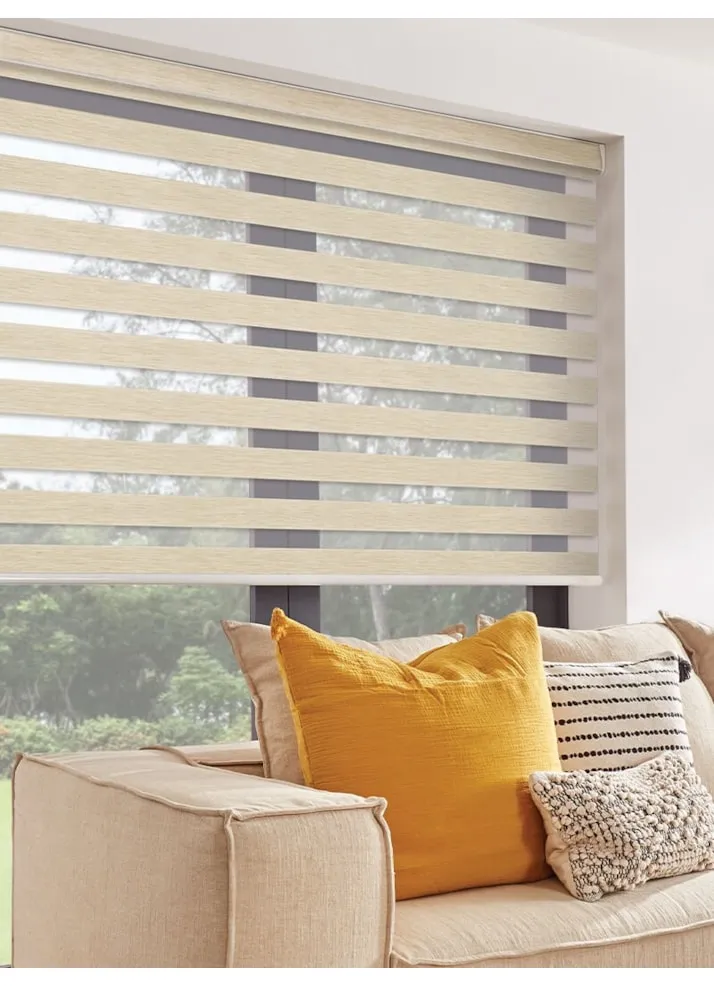 Picturesque Beige Vision Day And Night Blind