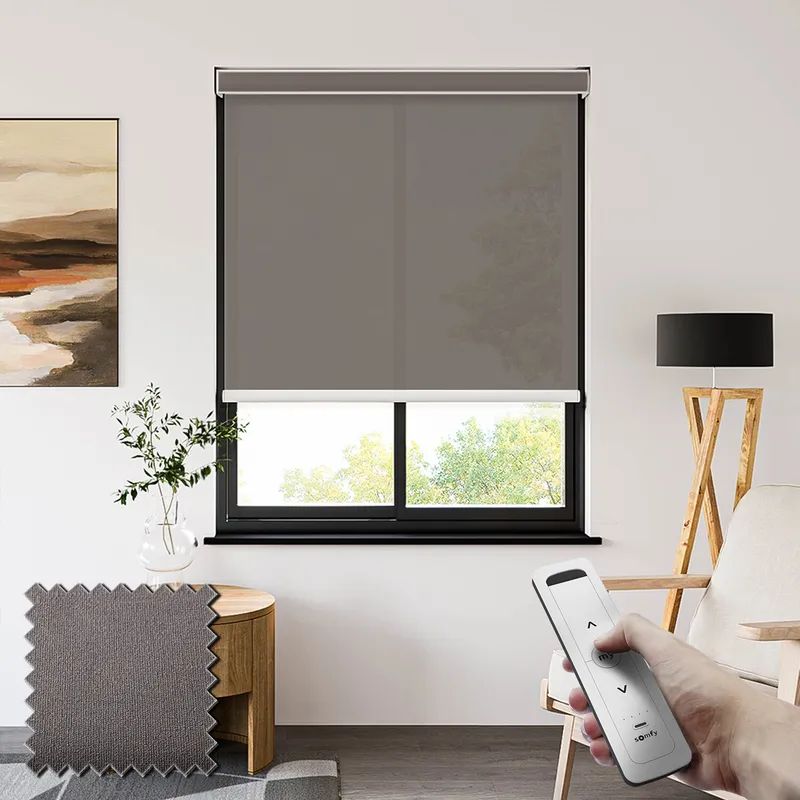 Seclusion Storm Somfy Battery Powered Electric Roller Blinds