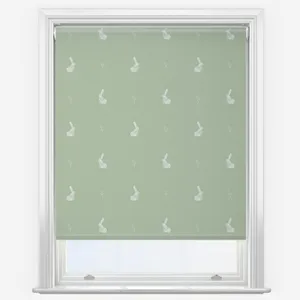 Sonova Studio Hare Sage Roller Blind