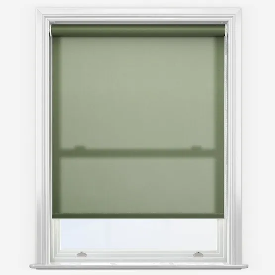 Pop Ivy Roller Blind