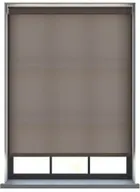 Burst Oyster Mushroom - Electric Roller Blind