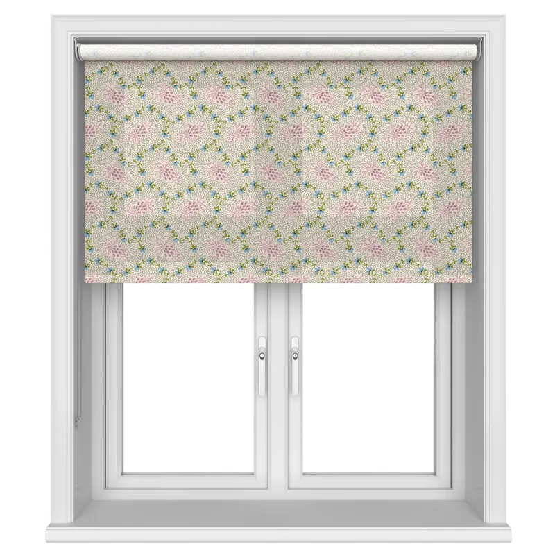 Land & Shore Lorie Multi
