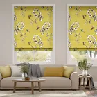 Amazilia Lime Roman Blind