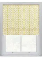 Orla Kiely Linear Stem Dandelion On Cream Roman Blinds