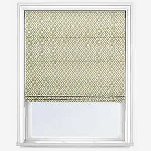 Billy Cucumber Roman Blind