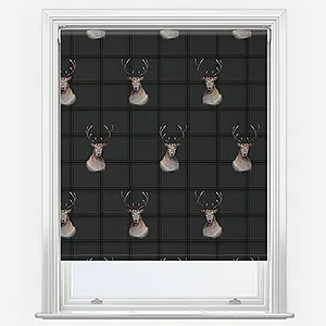 Sonova Studio Malcolm Charcoal Roller Blind